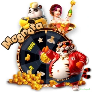 Suporte Login
